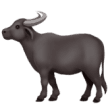 Buffalo