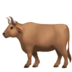 Bull